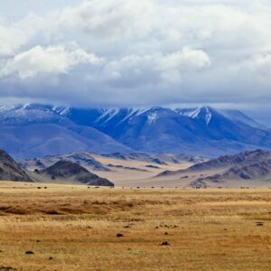 Mongolia